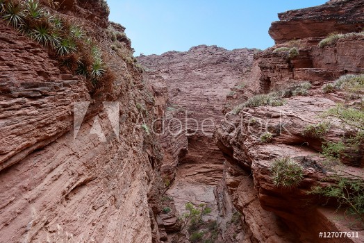 Picture of Devils Throat Rock formation in Salta Argentina